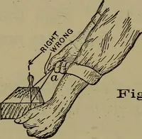 An illustration from Bench work in wood: a course of study and practice designed for the use of schools and colleges (1902)