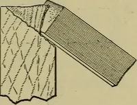 An illustration from Bench work in wood: a course of study and practice designed for the use of schools and colleges (1902)
