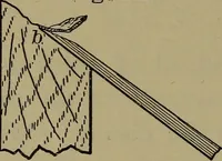 An illustration from Bench work in wood: a course of study and practice designed for the use of schools and colleges (1902)