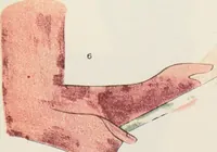 Picture 25 of 27 from Beni Hasan (1893), leaf 66