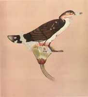 An illustration from Beni Hasan (1893)