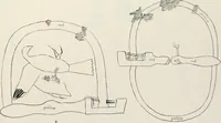 Picture 29 of 40 from Beni Hasan (1893), leaf 64
