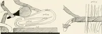 An illustration from Beni Hasan (1893)