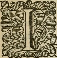 An illustration from Bentivolio and Urania : in six books (1673)