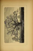 An illustration from Über die Capverden nach dem Rio Grande und Futah-Djallon. Reiseskizzen aus Nord-West Afrika (1884)