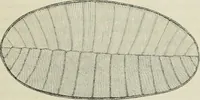 An illustration from Bericht über die Welt-Ausstellung zu Paris im Jahre 1867 (1867)