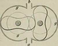 An illustration from Bericht über die Welt-Ausstellung zu Paris im Jahre 1867 (1867)