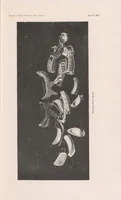 Picture 5 of 5 from The Bernadou, Allen and Jony Corean collections in the United States National Museum (1893), leaf 101