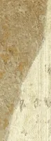 An illustration from Bernardini Scardeonii, canonici Patavini, De antiqvitate vrbis Patavii & claris ciuibus patauinis libri tres : in quindecim classes distincti : eivsdem appendix De sepvlchris insignibvs exterorvm Patavii iacentivm (1560)