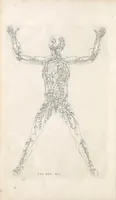 Picture 1 of 5 from Bernardi Siegfried Albini ... Explicatio tabularum anatomicarum Bartholomaei Eustachii ... Accedit tabularum editio nova (1744), leaf 232