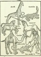 An illustration from Bernhard von Breydenbach and his journey to the Holy Land 1483-4 : a bibliography (1911)