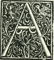 An illustration from Bernhard von Breydenbach and his journey to the Holy Land 1483-4 : a bibliography (1911)