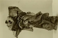 Picture 21 of 73 from Bernini and other studies in the history of art (1914), leaf 100