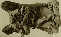 An illustration from Bernini and other studies in the history of art (1914)