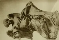 Picture 29 of 73 from Bernini and other studies in the history of art (1914), leaf 110