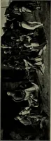 Picture 69 of 73 from Bernini and other studies in the history of art (1914), leaf 310