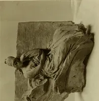 Picture 10 of 73 from Bernini and other studies in the history of art (1914), leaf 78