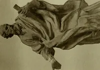 Picture 17 of 73 from Bernini and other studies in the history of art (1914), leaf 88