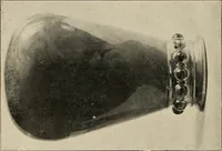 An illustration from Bernstein (1920)