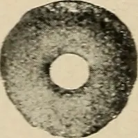 An illustration from Bernstein (1920)