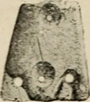 An illustration from Bernstein (1920)
