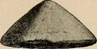 An illustration from Bernstein (1920)
