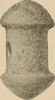 An illustration from Bernstein (1920)