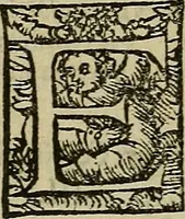 An illustration from Bertrucii Bononiensis, medici sua tempestate famigeratissimi Compendium sive (ut vulgo inscribitur) Collectorium artis medicae : tam practicae quam speculativ[a]e (1537)
