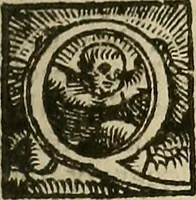 An illustration from Bertrucii Bononiensis, medici sua tempestate famigeratissimi Compendium sive (ut vulgo inscribitur) Collectorium artis medicae : tam practicae quam speculativ[a]e (1537)