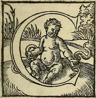 An illustration from Bertrucii Bononiensis, medici sua tempestate famigeratissimi Compendium sive (ut vulgo inscribitur) Collectorium artis medicae : tam practicae quam speculativ[a]e (1537)