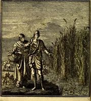 An illustration from Beschouwing der Wereld (1738)