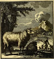 An illustration from Beschouwing der Wereld (1738)
