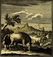 An illustration from Beschouwing der Wereld (1738)