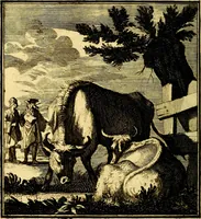 Picture 55 of 91 from Beschouwing der Wereld (1738), leaf 251
