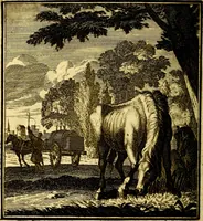 An illustration from Beschouwing der Wereld (1738)