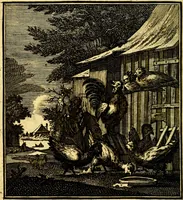An illustration from Beschouwing der Wereld (1738)