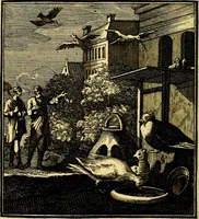 An illustration from Beschouwing der Wereld (1738)