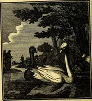 An illustration from Beschouwing der Wereld (1738)