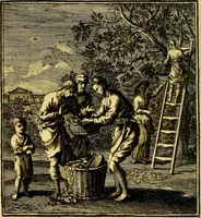 Picture 75 of 91 from Beschouwing der Wereld (1738), leaf 343