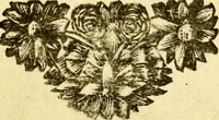 An illustration from Beschouwing der Wereld (1738)