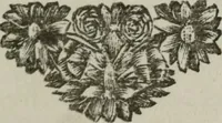 An illustration from Beschouwing der Wereld (1738)