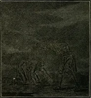 An illustration from Beschouwing der Wereld (1738)