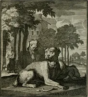 An illustration from Beschouwing der Wereld (1738)