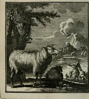 An illustration from Beschouwing der Wereld (1738)