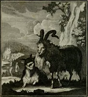 An illustration from Beschouwing der Wereld (1738)