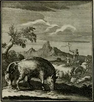 An illustration from Beschouwing der Wereld (1738)