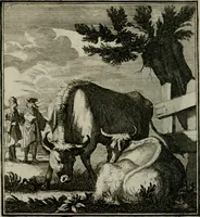 An illustration from Beschouwing der Wereld (1738)