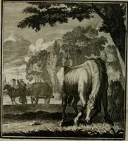 An illustration from Beschouwing der Wereld (1738)