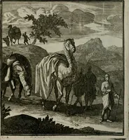 An illustration from Beschouwing der Wereld (1738)