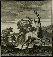 An illustration from Beschouwing der Wereld (1738)